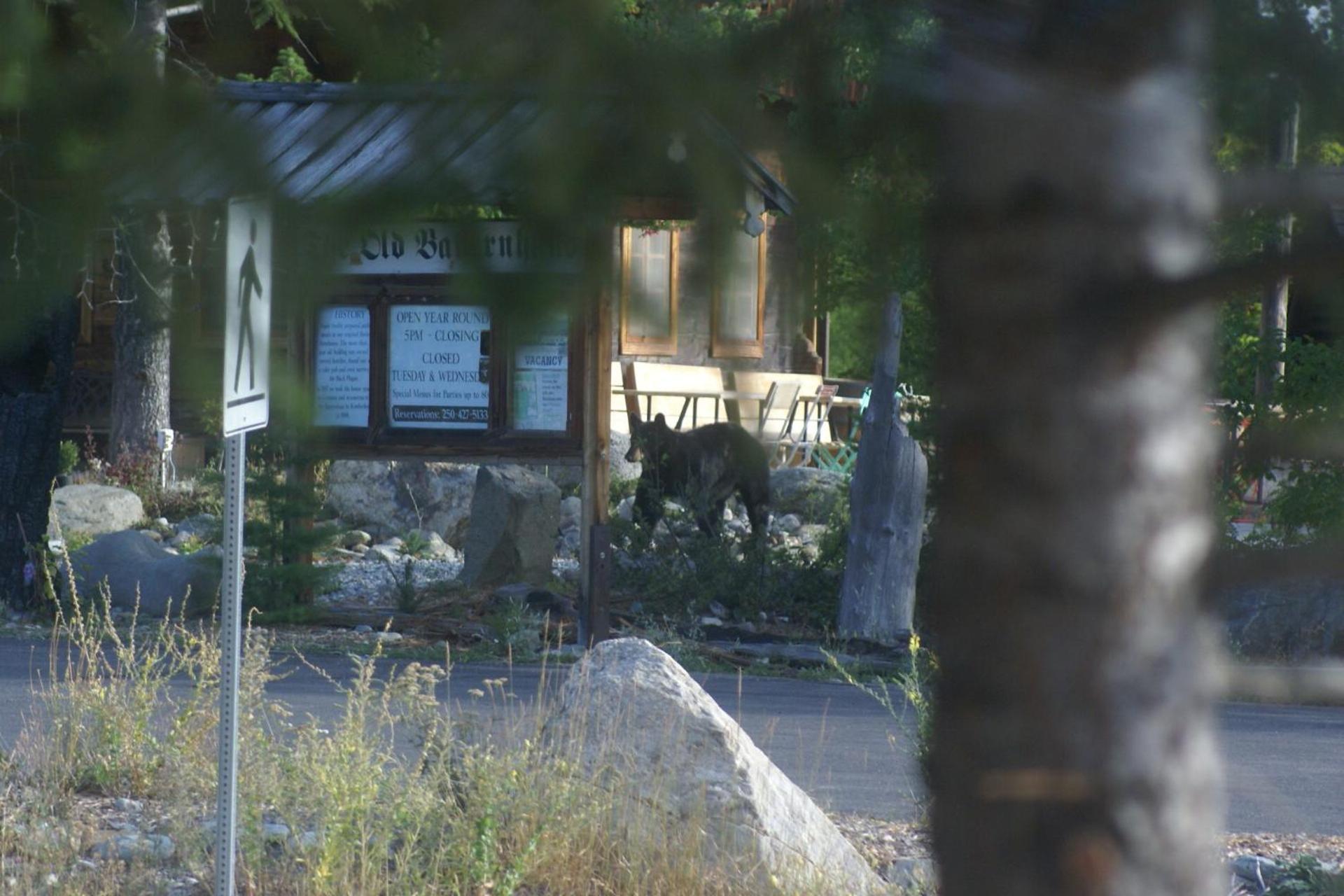 Alpenglow Bed And Breakfast Kimberley Zewnętrze zdjęcie