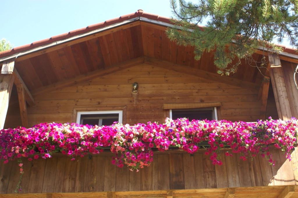 Alpenglow Bed And Breakfast Kimberley Pokój zdjęcie